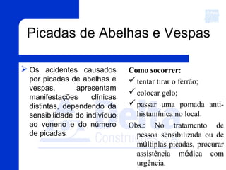 Picadas de Abelhas e Vespas
 Os acidentes causados
por picadas de abelhas e
vespas, apresentam
manifestações clínicas
distintas, dependendo da
sensibilidade do indivíduo
ao veneno e do número
de picadas
Como socorrer:
tentar tirar o ferrão;
colocar gelo;
passar uma pomada anti-
histamínica no local.
Obs.: No tratamento de
pessoa sensibilizada ou de
múltiplas picadas, procurar
assistência médica com
urgência.
 