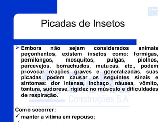 Picadas de Insetos
 Embora não sejam considerados animais
peçonhentos, existem insetos como: formigas,
pernilongos, mosquitos, pulgas, piolhos,
percevejos, borrachudos, mutucas, etc., podem
provocar reações graves e generalizadas, suas
picadas podem causar os seguintes sinais e
sintomas: dor intensa, inchaço, náusea, vômito,
tontura, sudorese, rigidez no músculo e dificuldades
de respiração.
Como socorrer:
 manter a vítima em repouso;
 