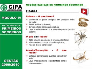 PPIICCAADDAASS 
Cobras - O que fazer? 
 Mantenha a parte atingida em posição mais 
elevada; 
 Retire anéis e pulseiras; 
 Limpe o local com água e sabão; 
 Leve imediatamente o acidentado para o pronto-socorro. 
O que não fazer? 
 Não amarre a perna ou o braço acidentado; 
 Não corte e/ou chupe o local da picada; 
 Não dê álcool para beber. 
Aranha/Escorpião - O que 
fazer? 
 Coloque compressas quentes para aliviar 
a dor 
 Leve imediatamente o acidentado para o 
pronto-socorro. 
CCIIPPAA EEddiittoorraa GGrrááffiiccooss BBuurrttii LLttddaa.. 
UUnniiddaaddee IIttaaqquuaaqquueecceettuubbaa 
MMÓÓDDUULLOO IIVV 
NNOOÇÇÕÕEESS BBÁÁSSIICCAASS DDEE 
PPRRIIMMEEIIRROOSS 
SSOOCCOORRRROOSS 
GGEESSTTÃÃOO 
22000099//22001100 
NOÇÕES BÁSICAS DE PRIMEIROS SOCORROS 
 
