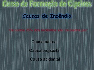 Os outros 25% dos Incêndios são causados por:
Causa proposital
Causa acidental
Causa natural
Causas de Incêndio
 