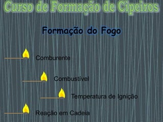 Comburente
Combustível
Temperatura de Ignição
Reação em Cadeia
 