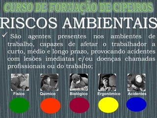  São agentes presentes nos ambientes de
trabalho, capazes de afetar o trabalhador a
curto, médio e longo prazo, provocando acidentes
com lesões imediatas e/ou doenças chamadas
profissionais ou do trabalho;
Físico Químico Biológico Ergonômico Acidentes
 