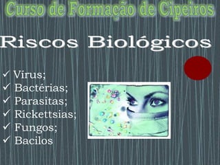  Vírus;
 Bactérias;
 Parasitas;
 Rickettsias;
 Fungos;
 Bacilos
 