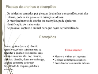Picadas de aranhas e escorpiões
Os acidentes causados por picadas de aranhas e escorpiões, com dor
intensa, podem ser graves em crianças e idosos.
O reconhecimento da aranha ou escorpião, pode ajudar na
identificação do tratamento.
Se possível capture o animal para que possa ser identificado.
Como socorrer:
• Manter a vítima em repouso;
• Colocar compressas quentes;
• Providenciar assistência médica.
Escorpiões
Os escorpiões (lacraus) não são
agressivos, picam somente para se
defender e quando isso ocorre, seus
sinais e sintomas são: dor, náuseas,
vômitos, diarréia, dores no estômago,
vontade constante de urinar,
dificuldade de respirar, palidez e
sudorese.
 