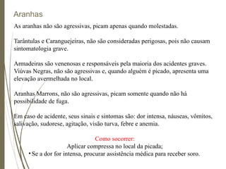 Aranhas
As aranhas não são agressivas, picam apenas quando molestadas.
Tarântulas e Caranguejeiras, não são consideradas perigosas, pois não causam
sintomatologia grave.
Armadeiras são venenosas e responsáveis pela maioria dos acidentes graves.
Viúvas Negras, não são agressivas e, quando alguém é picado, apresenta uma
elevação avermelhada no local.
Aranhas Marrons, não são agressivas, picam somente quando não há
possibilidade de fuga.
Em caso de acidente, seus sinais e sintomas são: dor intensa, náuseas, vômitos,
salivação, sudorese, agitação, visão turva, febre e anemia.
Como socorrer:
Aplicar compressa no local da picada;
• Se a dor for intensa, procurar assistência médica para receber soro.
 