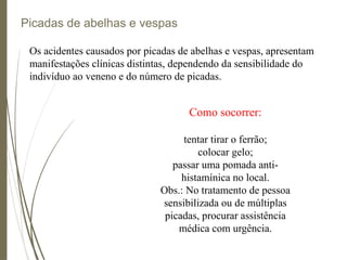 Picadas de abelhas e vespas
Os acidentes causados por picadas de abelhas e vespas, apresentam
manifestações clínicas distintas, dependendo da sensibilidade do
indivíduo ao veneno e do número de picadas.
Como socorrer:
tentar tirar o ferrão;
colocar gelo;
passar uma pomada anti-
histamínica no local.
Obs.: No tratamento de pessoa
sensibilizada ou de múltiplas
picadas, procurar assistência
médica com urgência.
 