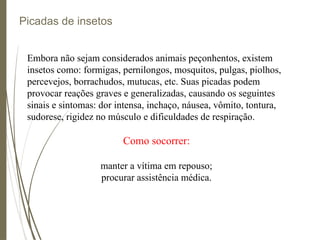 Picadas de insetos
Embora não sejam considerados animais peçonhentos, existem
insetos como: formigas, pernilongos, mosquitos, pulgas, piolhos,
percevejos, borrachudos, mutucas, etc. Suas picadas podem
provocar reações graves e generalizadas, causando os seguintes
sinais e sintomas: dor intensa, inchaço, náusea, vômito, tontura,
sudorese, rigidez no músculo e dificuldades de respiração.
Como socorrer:
manter a vítima em repouso;
procurar assistência médica.
 