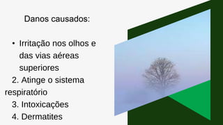 Danos causados:
• Irritação nos olhos e
das vias aéreas
superiores
2. Atinge o sistema
respiratório
3. Intoxicações
4. Dermatites
 