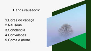 Danos causados:
1.Dores de cabeça
2.Náuseas
3.Sonolência
4.Convulsões
5.Coma e morte
 