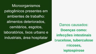 Danos causados:
Doenças como:
infecções intestinais
brucelose, tuberculose
micoses,
leptospirose
Microorganismos
patogênicos presentes em
ambientes de trabalho:
alimentos deteriorados,
cemitérios, esgotos,
laboratórios, lixos urbano e
industriais, área hospitalar
 