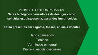 VERMES E OUTROS PARASITAS
Seres biológicos causadores de doenças como:
solitária, esquistossoma, ascarides lumbricoides
Estão presentes em esgotos, fossas, animais doentes
Danos causados:
Teníase
Verminose em geral
Diarréia, esquistossomose
 
