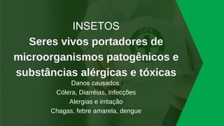 INSETOS
Seres vivos portadores de
microorganismos patogênicos e
substâncias alérgicas e tóxicas
Danos causados:
Cólera, Diarréias, Infecções
Alergias e irritação
Chagas, febre amarela, dengue
 