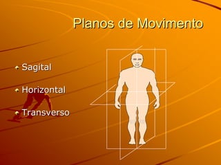 Planos de Movimento


Sagital

Horizontal

Transverso
 
