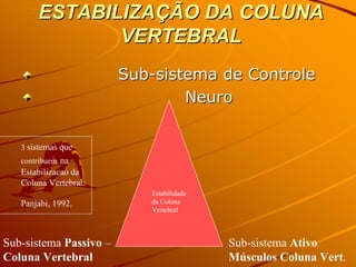 ESTABILIZAÇÃO DA COLUNA
              VERTEBRAL
                        Sub-sistema de Controle
                                Neuro

   3 sistemas que
   contribuem na
   Estabilizacao da
   Coluna Vertebral:
                           Estabilidade
   Panjabi, 1992.          da Coluna
                           Vertebral



Sub-sistema Passivo –                     Sub-sistema Ativo
Coluna Vertebral                          Músculos Coluna Vert.
 