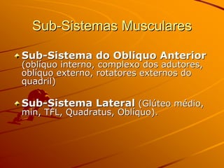 Sub-Sistemas Musculares

Sub-Sistema do Obliquo Anterior
(oblíquo interno, complexo dos adutores,
oblíquo externo, rotatores externos do
quadril)

Sub-Sistema Lateral (Glúteo médio,
min, TFL, Quadratus, Oblíquo).
 