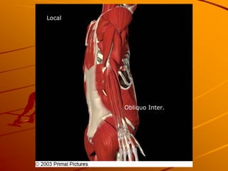 Local




        Obliquo Inter.
 