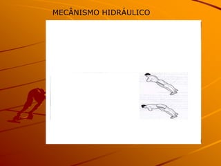 MECÂNISMO HIDRÁULICO
 