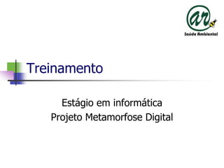 Treinamento Estágioeminformática ProjetoMetamorfose Digital 