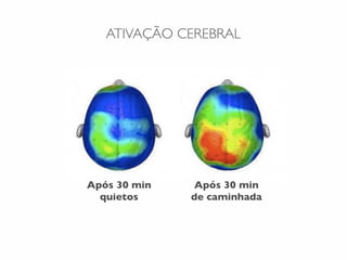 ATIVAÇÃO CEREBRAL
Após 30 min
de caminhada
Após 30 min
quietos
 