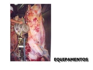 EQUIPAMENTOS
 