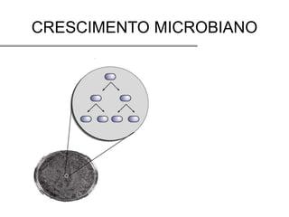 CRESCIMENTO MICROBIANO
 