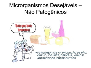 Microrganismos Desejáveis –
Não Patogênicos
 