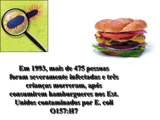Em 1993, mais de 475 pessoas
foram severamente infectadas e três
crianças morreram, após
consumirem hamburgueres nos Est.
Unidos contaminados por E. coli
O157:H7
 