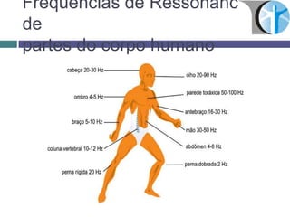 Freqüências de Ressonância
de
partes do corpo humano
 