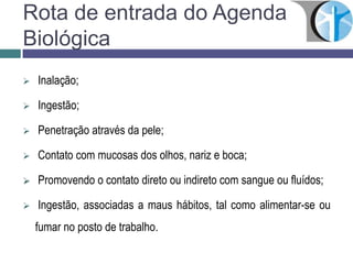 Rota de entrada do Agenda
Biológica
 Inalação;
 Ingestão;
 Penetração através da pele;
 Contato com mucosas dos olhos, nariz e boca;
 Promovendo o contato direto ou indireto com sangue ou fluídos;
 Ingestão, associadas a maus hábitos, tal como alimentar-se ou
fumar no posto de trabalho.
 