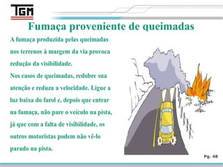 Pg. 48
Fumaça proveniente de queimadas
 