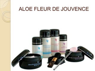 ALOE FLEUR DE JOUVENCE
 