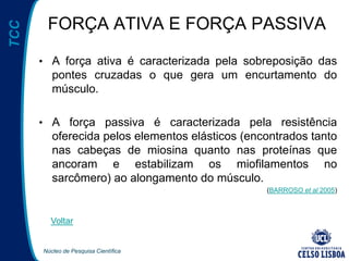Núcleo de Pesquisa Científica
TCC
FORÇA ATIVA E FORÇA PASSIVA
• A força ativa é caracterizada pela sobreposição das
pontes cruzadas o que gera um encurtamento do
músculo.
• A força passiva é caracterizada pela resistência
oferecida pelos elementos elásticos (encontrados tanto
nas cabeças de miosina quanto nas proteínas que
ancoram e estabilizam os miofilamentos no
sarcômero) ao alongamento do músculo.
(BARROSO et al 2005)
Voltar
 