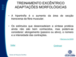 Núcleo de Pesquisa Científica
TCC TREINAMENTO EXCÊNTRICO
ADAPTAÇÕES MORFOLÓGICAS
• A hipertrofia é o aumento da área de secção
transversa da fibra muscular.
• Os estímulos que desencadeiam a síntese protéica
ainda não são bem conhecidos, mas podem-se
considerar: alongamento (passivo ou ativo), o número
e a intensidade das contrações.
( Barroso et al 2005)
Voltar Continuar
 
