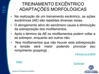 Núcleo de Pesquisa Científica
TCC TREINAMENTO EXCÊNTRICO
ADAPTAÇÕES MORFOLÓGICAS
• Na realização de um treinamento excêntrico, as ações
excêntricas (AE) são repetidas diversas vezes.
• O alongamento ativo do sarcômero causa a diminuição
da sobreposição dos miofilamentos.
• Após o término da AE os miofilamentos podem voltar a
se sobrepor, enquanto em outros não.
• Nos miofilamentos que não houver esta sobreposição
a tensão será maior podendo provocar seu
rompimento (popping) .
( Barroso et al 2005)
Voltar
Continuar
 