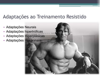 • Adaptações Neurais
• Adaptações hipertróficas
• Adaptações Hiperplásicas
• Adaptações Hormonais
Adaptações ao Treinamento Resistido
 