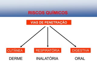 VIAS DE PENETRAÇÃO
DIGESTIVA
RESPIRATÓRIA
CUTÂNEA
DERME INALATÓRIA ORAL
RISCOS QUÍMICOS
 