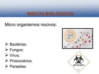 Micro organismos nocivos:
 Bactérias;
 Fungos;
 Vírus;
 Protozoários;
 Parasitas.
RISCOS BIOLÓGICOS
 