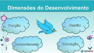 Dimensões do Desenvolvimento

 