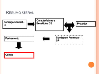 RESUMO GERAL
                     Características e
Sondagem Inicial -
                     Benefícios CB                       Provador
SI




 Fechamento                              Sondagem Profunda -
                                         SP




 Caixas
 