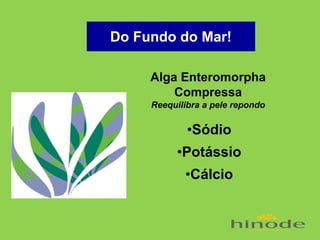 Do Fundo do Mar!
Alga Enteromorpha
Compressa
Reequilibra a pele repondo

•Sódio
•Potássio
•Cálcio

 