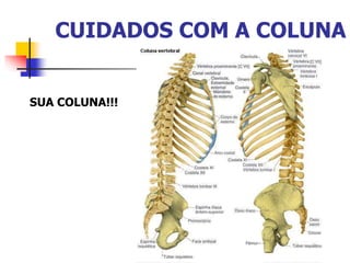 CUIDADOS COM A COLUNA
SUA COLUNA!!!
 