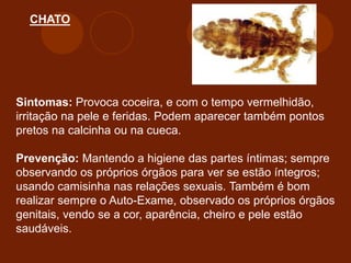 CHATO
Sintomas: Provoca coceira, e com o tempo vermelhidão,
irritação na pele e feridas. Podem aparecer também pontos
pretos na calcinha ou na cueca.
Prevenção: Mantendo a higiene das partes íntimas; sempre
observando os próprios órgãos para ver se estão íntegros;
usando camisinha nas relações sexuais. Também é bom
realizar sempre o Auto-Exame, observado os próprios órgãos
genitais, vendo se a cor, aparência, cheiro e pele estão
saudáveis.
 