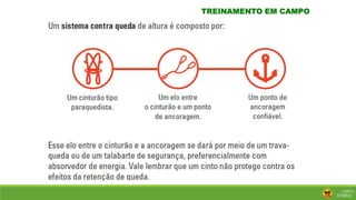 TREINAMENTO EM CAMPO
 