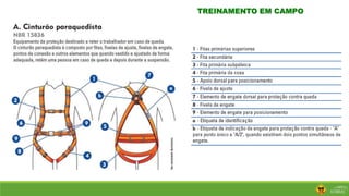 TREINAMENTO EM CAMPO
 