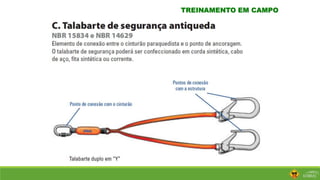 TREINAMENTO EM CAMPO
 