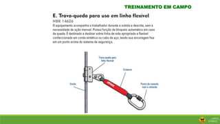 TREINAMENTO EM CAMPO
 