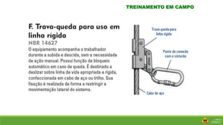 TREINAMENTO EM CAMPO
 