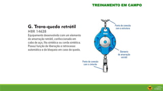 TREINAMENTO EM CAMPO
 