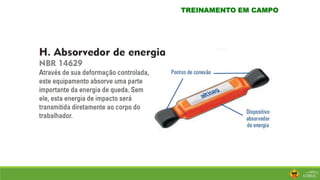 TREINAMENTO EM CAMPO
 