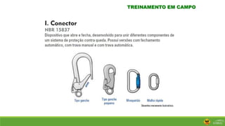 TREINAMENTO EM CAMPO
 